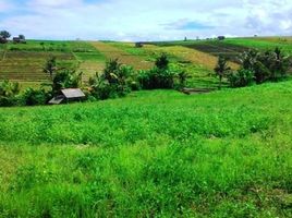  Land for sale in Selemadeg, Tabanan, Selemadeg