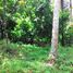  Land for sale in Selemadeg, Tabanan, Selemadeg