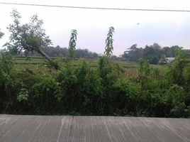  토지을(를) 세랑, 밴텐에서 판매합니다., Serang, 세랑