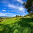  Land for sale in La Ceja, Antioquia, La Ceja