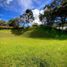  Land for sale in La Ceja, Antioquia, La Ceja