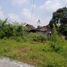  Land for sale in Yogyakarta, Kalasan, Sleman, Yogyakarta