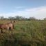  Land for sale in Cadereyta Jimenez, Nuevo Leon, Cadereyta Jimenez