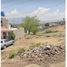 Land for sale in Sahuayo, Michoacan, Sahuayo