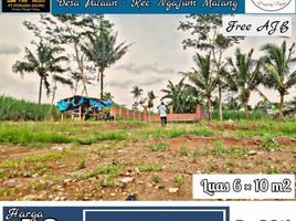  Land for sale in Kepanjen, Malang Regency, Kepanjen