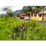  Terreno (Parcela) en venta en Coatepec, Veracruz, Coatepec