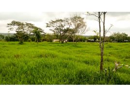  Terreno (Parcela) en venta en Coatepec, Veracruz, Coatepec