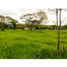  Land for sale in Coatepec, Veracruz, Coatepec