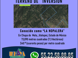  Grundstück zu verkaufen in Jilotepec, Mexico, Jilotepec