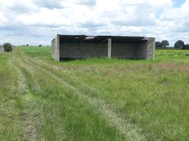  Terreno (Parcela) en venta en Munoz De Domingo Arenas, Tlaxcala, Munoz De Domingo Arenas