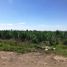  Land for sale in Cuautla, Morelos, Cuautla