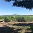  Land for sale in Cuautla, Morelos, Cuautla