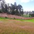  Land for sale in Yaruqui, Quito, Yaruqui