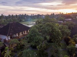 29 Schlafzimmer Villa zu verkaufen in Gianyar, Bali, Ubud