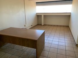 200 SqM Office for rent in Ecuador, Tomas De Berlanga Santo Tomas, Isabela, Galapagos, Ecuador