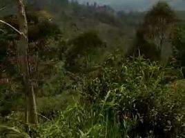  Terreno (Parcela) en venta en Sumurbandung, West Jawa, Sumurbandung, Bandung, West Jawa