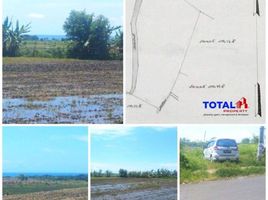  Land for sale in Kerambitan, Tabanan, Kerambitan