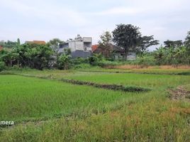  Terreno (Parcela) en venta en Tambaksari, East Jawa, Tambaksari, Surabaya, East Jawa