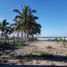  Land for sale in Petatlan, Guerrero, Petatlan