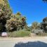  Land for sale in Tamazula, Durango, Tamazula