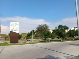 在Michoacan出售的 土地, Morelia, Michoacan
