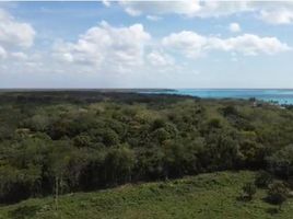 Terrain à vendre à Othon P Blanco, Quintana Roo, Othon P Blanco