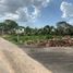 Terrain à vendre à Yaxkukul, Yucatan, Yaxkukul