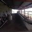Studio House for sale in China, Nuevo Leon, China