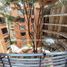 3 Schlafzimmer Appartement zu verkaufen in Bogota, Cundinamarca, Bogota