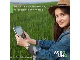  Terreno (Parcela) en venta en Hopelchen, Campeche, Hopelchen, Campeche