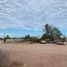  Land for sale in Cananea, Sonora, Cananea