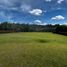 Terrain à vendre à Rionegro, Antioquia, Rionegro