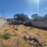 Estudio Casa en alquiler en Queretaro, Querétaro, Queretaro