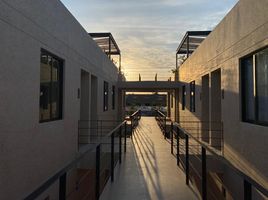 1 Schlafzimmer Appartement zu vermieten in Merida, Yucatan, Merida, Yucatan