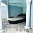 4 Bedroom House for rent in Thao Dien, Ho Chi Minh City, Thao Dien