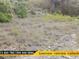  Land for sale in Nulti, Cuenca, Nulti