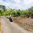  Land for sale in Yogyakarta, Kasihan, Bantul, Yogyakarta