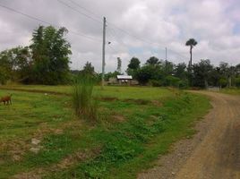  Land for sale in Cuyapo, Nueva Ecija, Cuyapo