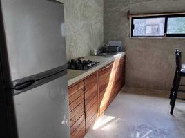 1 Bedroom Apartment for rent in Cozumel, Quintana Roo, Cozumel, Quintana Roo