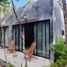 1 Bedroom Apartment for rent in Cozumel, Quintana Roo, Cozumel, Quintana Roo