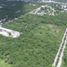  Land for rent in Merida, Yucatan, Merida