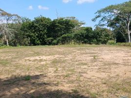  Land for sale in Pereira, Risaralda, Pereira