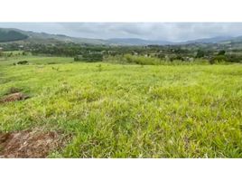  Land for sale in La Cumbre, Valle Del Cauca, La Cumbre