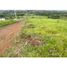  Land for sale in La Cumbre, Valle Del Cauca, La Cumbre