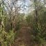  Land for sale in Seye, Yucatan, Seye