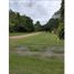  Land for sale in Cocle, Rio Hato, Anton, Cocle