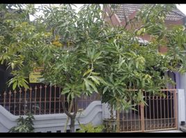 3 Bedroom House for sale in Gunung Anyar, Surabaya, Gunung Anyar