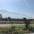  Grundstück zu vermieten in Monterrey, Nuevo Leon, Monterrey