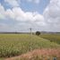  Terreno (Parcela) en venta en Corregidora, Querétaro, Corregidora, Querétaro, México