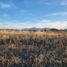  Land for sale in Futaleufu, Chubut, Futaleufu